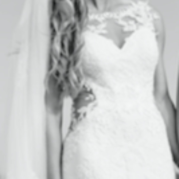 Wedding Dress + Veil (originally $1,784) DESIGNER - Picture 8 of 8